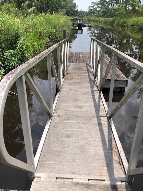 other for sale at 145 Travelers Way, Richmond Hill, GA 31324 — photo 7