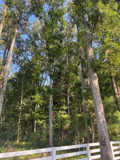 other for sale at 145 Travelers Way, Richmond Hill, GA 31324 — photo 9