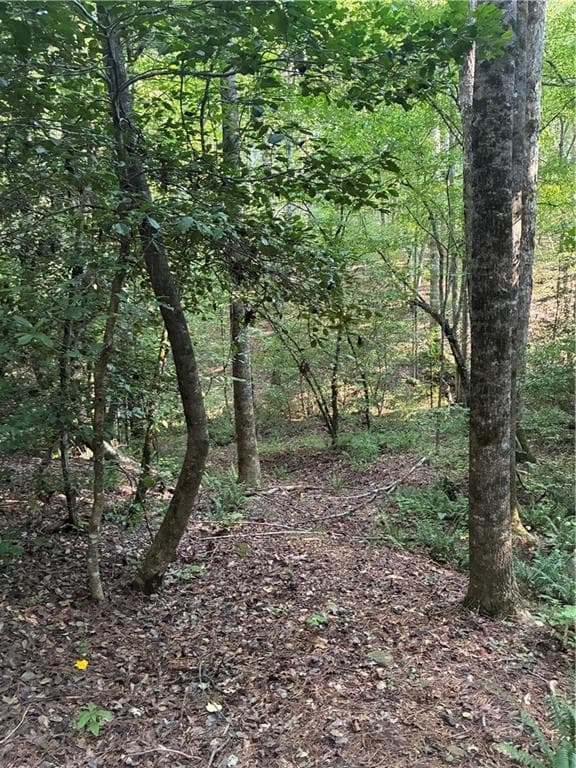 other under contract at 156 Whitfield Lane, Ball Ground, GA 30107 — photo 2