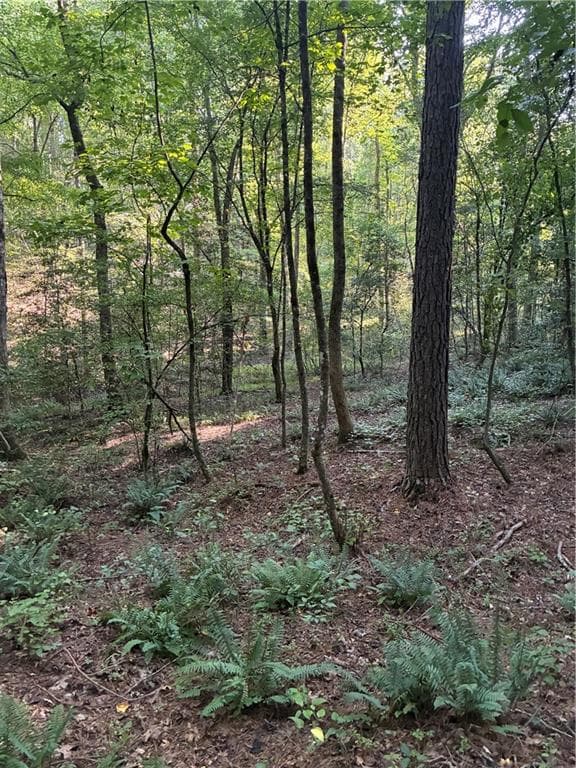 other under contract at 156 Whitfield Lane, Ball Ground, GA 30107 — photo 3