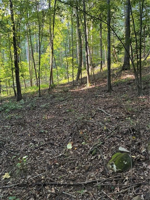 other under contract at 156 Whitfield Lane, Ball Ground, GA 30107 — photo 4
