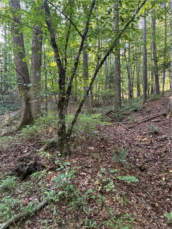 other under contract at 156 Whitfield Lane, Ball Ground, GA 30107 — photo 5