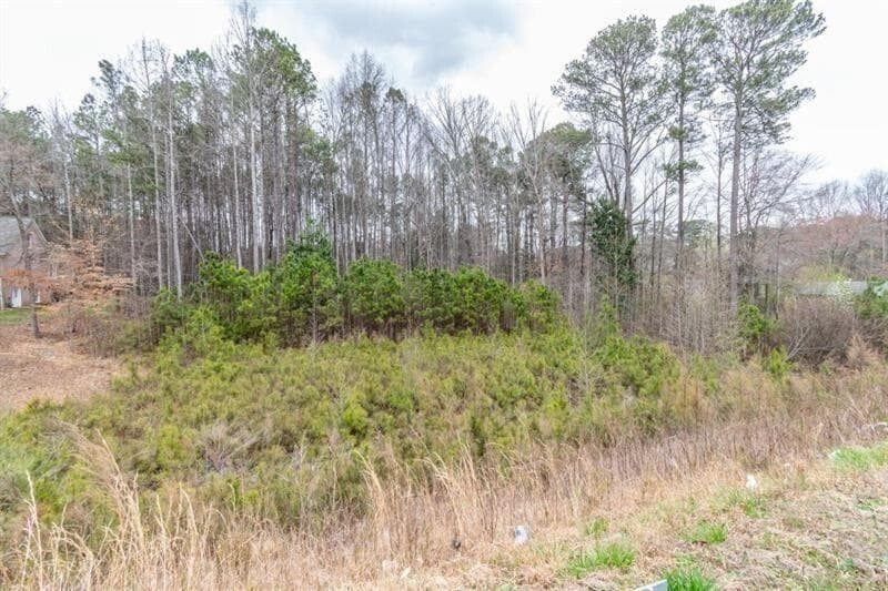 unimproved land for sale at 5431 Cumming Highway, Sugar Hill, GA 30518 — photo 6