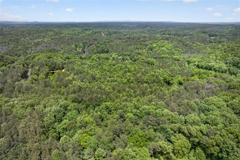 3 bedroom, 2 bathroom unimproved land for sale at 665 Tibbitts Road, Dallas, GA 30132 — photo 3