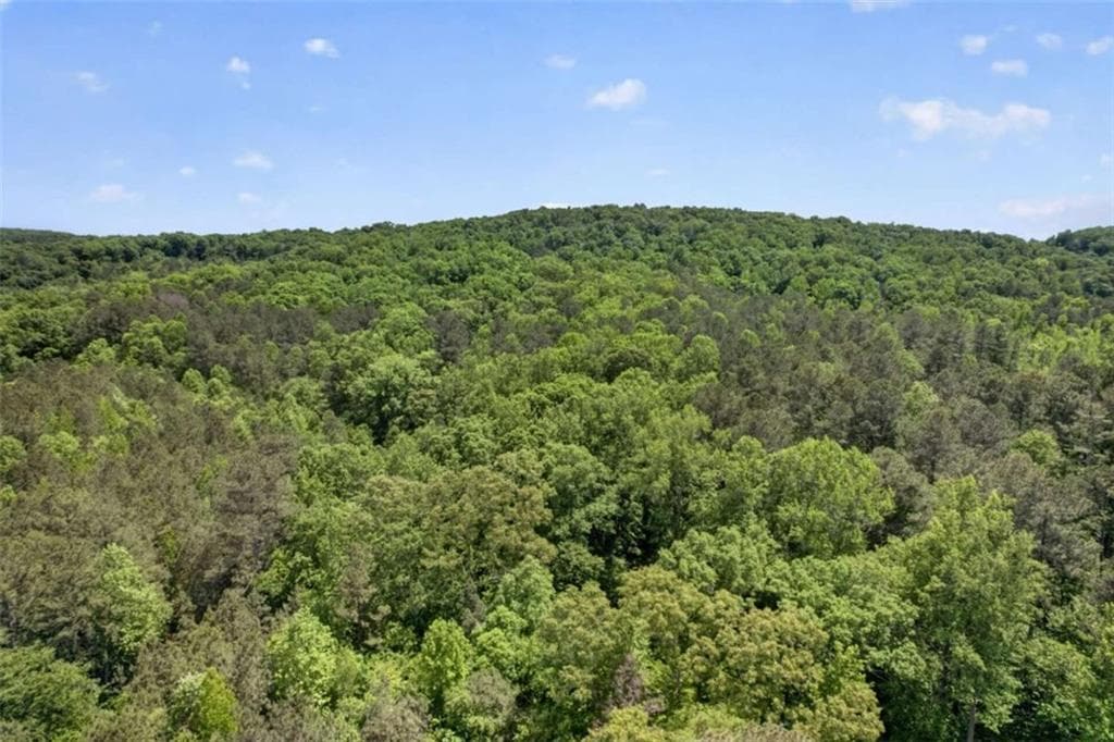 3 bedroom, 2 bathroom unimproved land for sale at 665 Tibbitts Road, Dallas, GA 30132 — photo 9