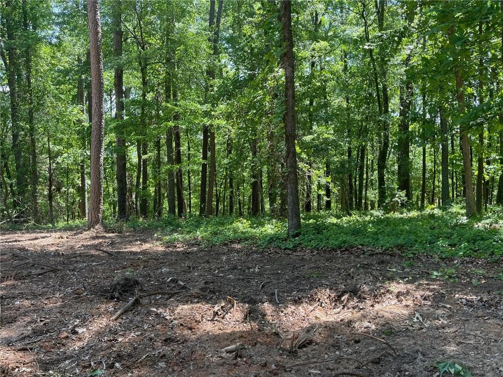 single family residence for sale at TR 3 Chalcrest Way, Cave Spring, GA 30124 — photo 3