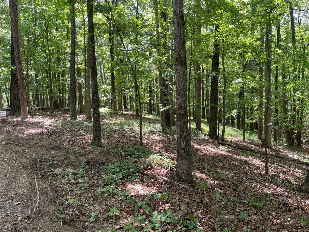 single family residence for sale at TR 3 Chalcrest Way, Cave Spring, GA 30124 — photo 4