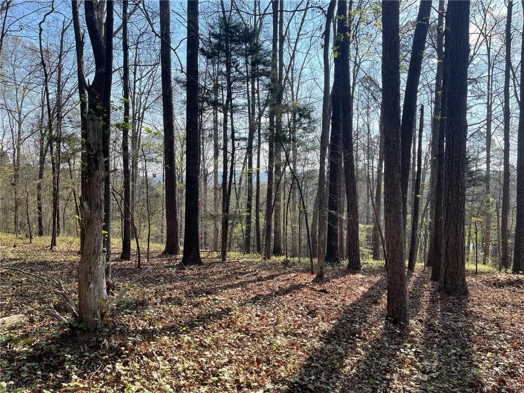 single family residence for sale at TR 3 Chalcrest Way, Cave Spring, GA 30124 — photo 7