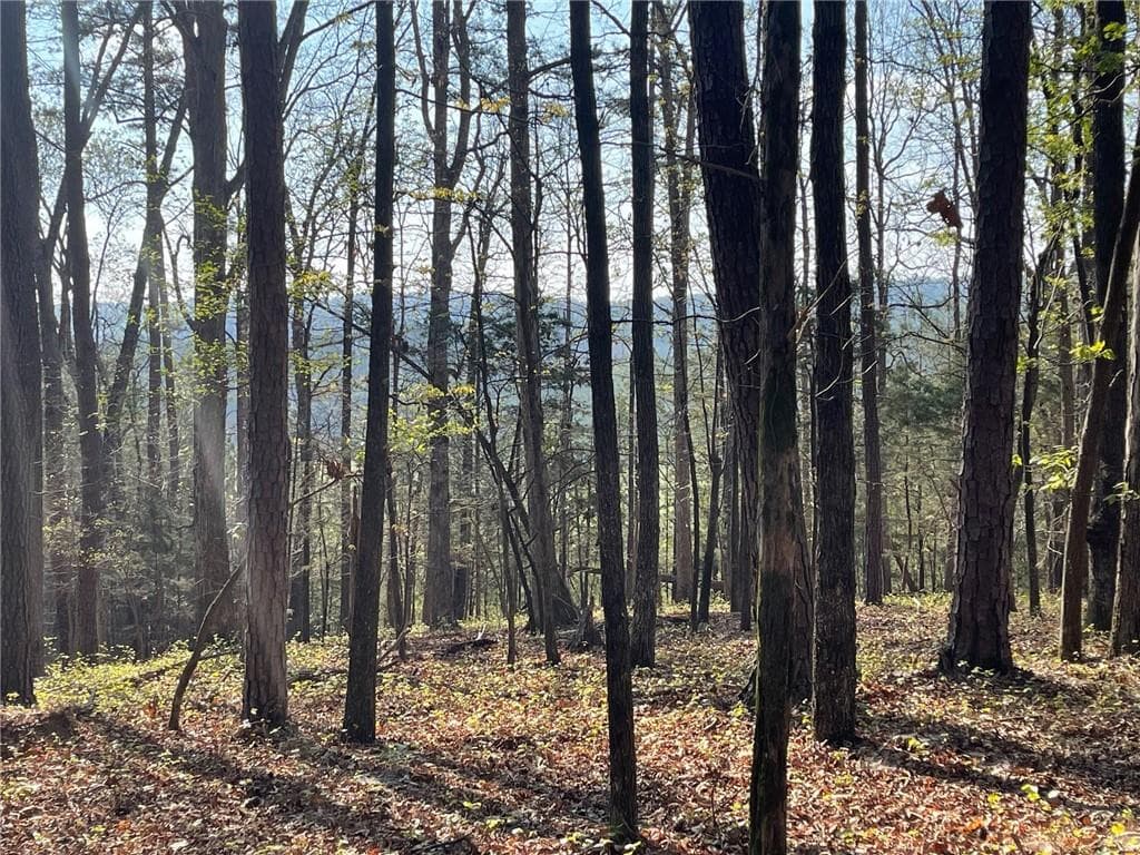 single family residence for sale at TR 3 Chalcrest Way, Cave Spring, GA 30124 — photo 8
