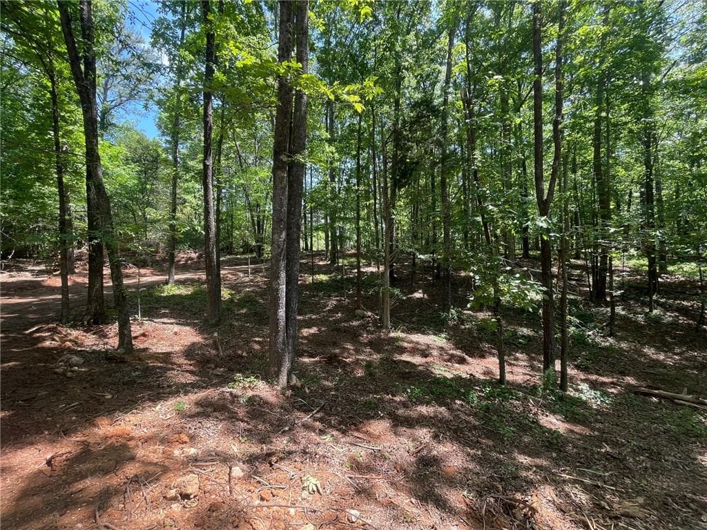 single family residence for sale at TR 3 Chalcrest Way, Cave Spring, GA 30124 — photo 9
