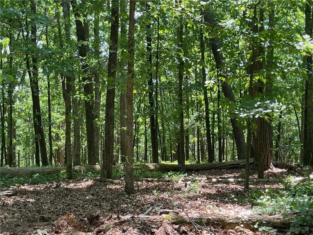 single family residence for sale at TR 3 Chalcrest Way, Cave Spring, GA 30124 — photo 10