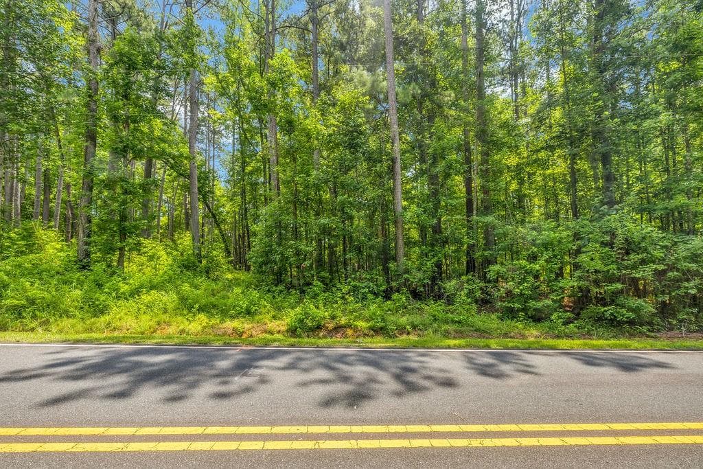unimproved land for sale at 00 Coastline Road, Fayetteville, GA 30214 — photo 2