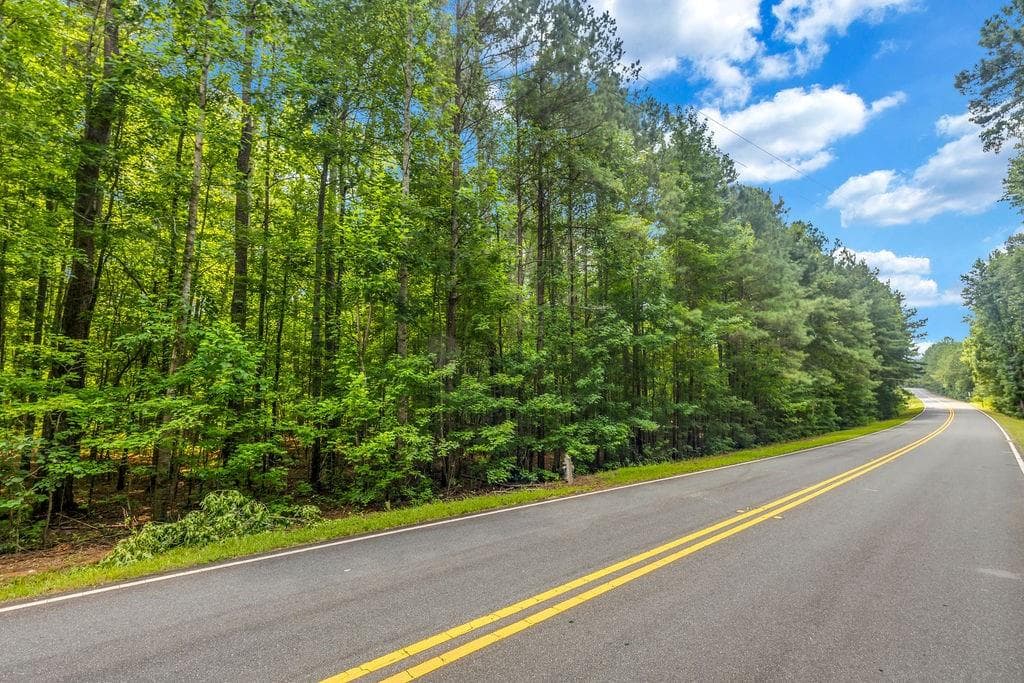 unimproved land for sale at 00 Coastline Road, Fayetteville, GA 30214 — photo 3