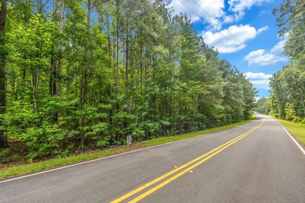 unimproved land for sale at 00 Coastline Road, Fayetteville, GA 30214 — photo 4
