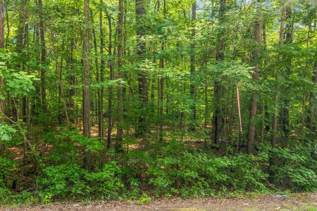 unimproved land for sale at 00 Coastline Road, Fayetteville, GA 30214 — photo 5
