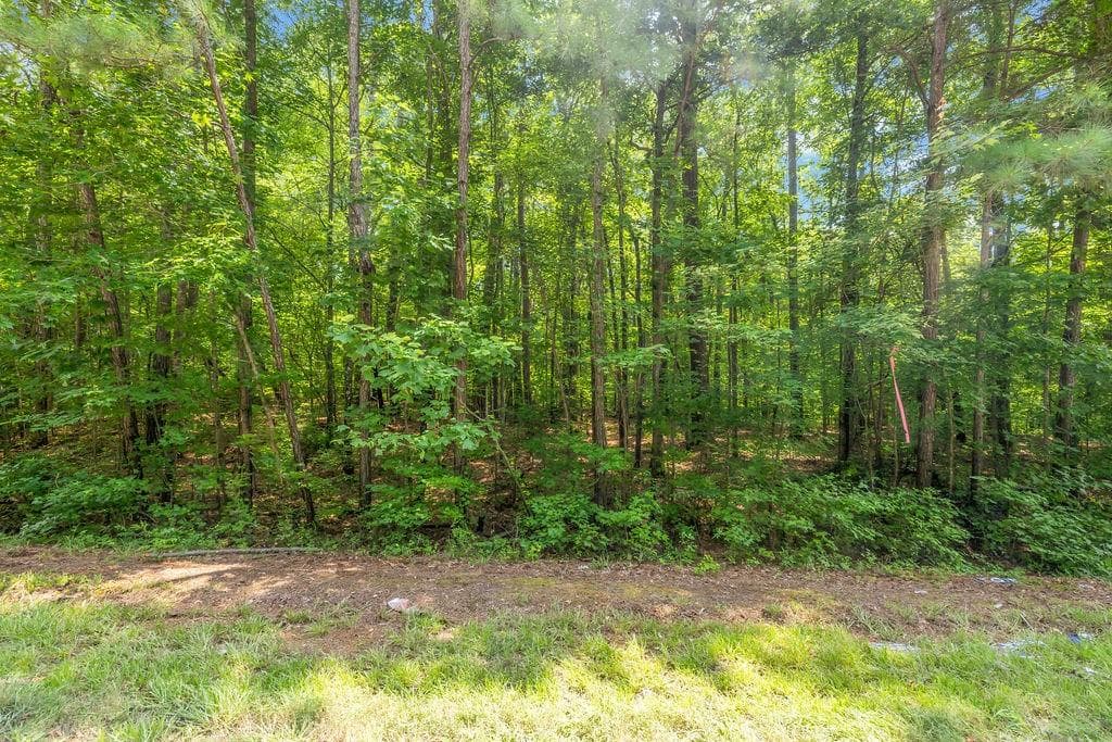 unimproved land for sale at 00 Coastline Road, Fayetteville, GA 30214 — photo 6