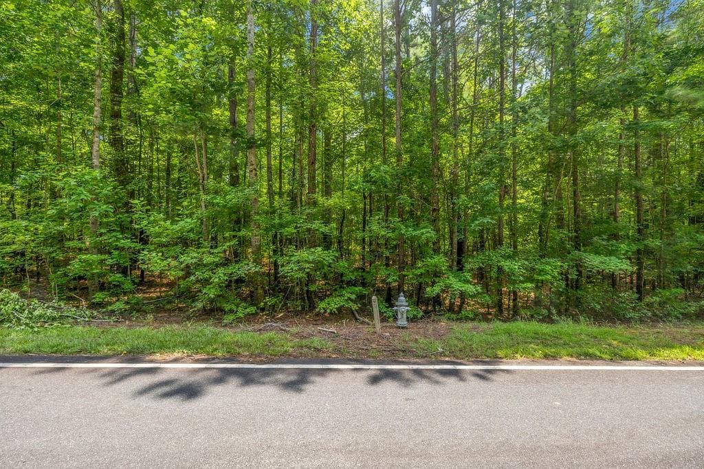 unimproved land for sale at 00 Coastline Road, Fayetteville, GA 30214 — photo 9