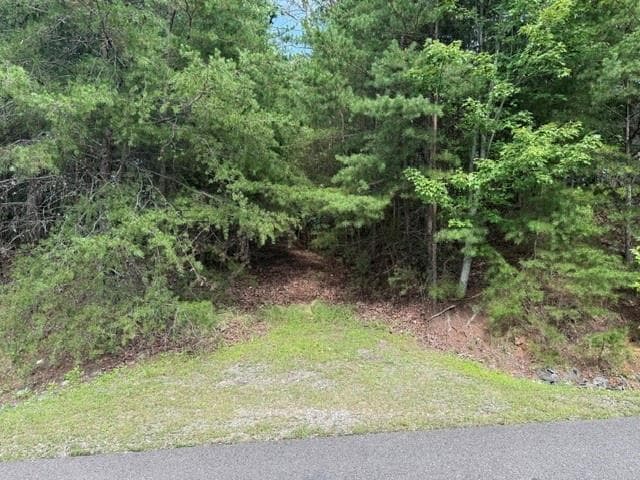 single family residence for sale at 0 Owl Ridge Way, Jasper, GA 30143 — photo 4