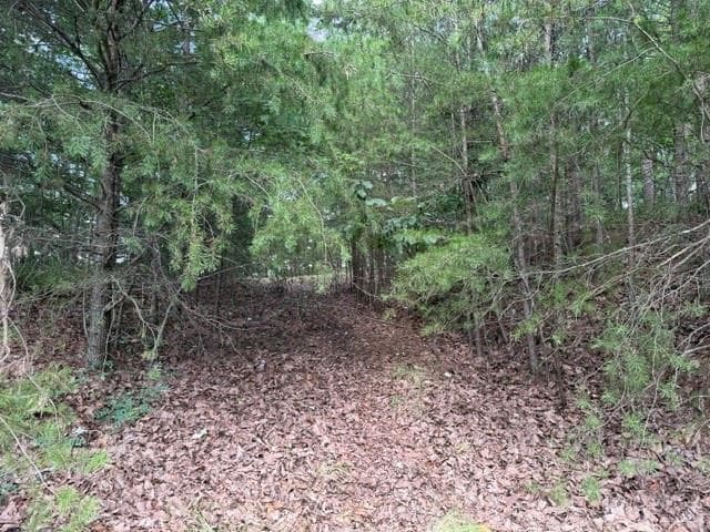 single family residence for sale at 0 Owl Ridge Way, Jasper, GA 30143 — photo 5