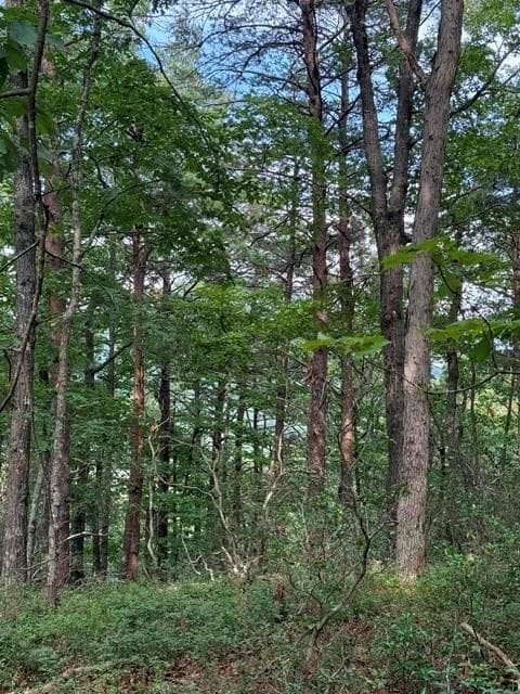 single family residence for sale at 0 Owl Ridge Way, Jasper, GA 30143 — photo 6