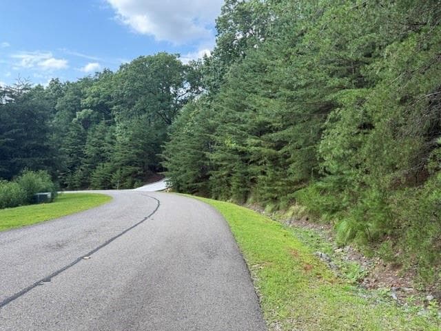 single family residence for sale at 0 Owl Ridge Way, Jasper, GA 30143 — photo 8