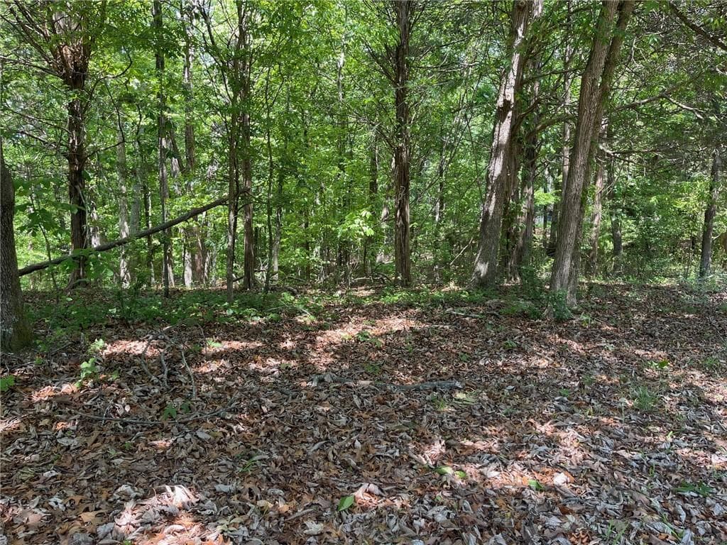 single family residence for sale at TR 1A Chalcrest Way, Cave Spring, GA 30124 — photo 2