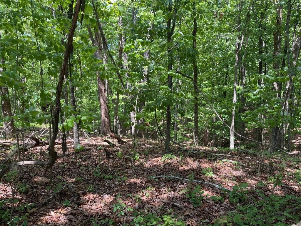single family residence for sale at TR 1A Chalcrest Way, Cave Spring, GA 30124 — photo 3