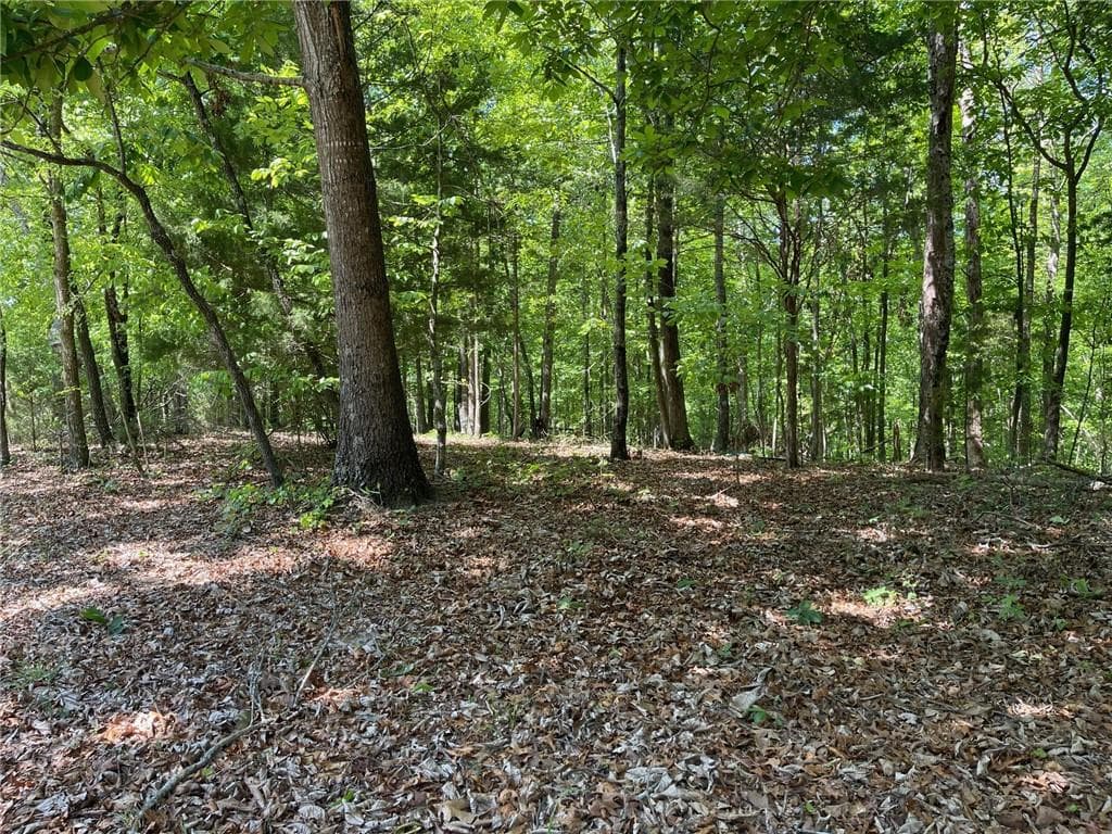 single family residence for sale at TR 1A Chalcrest Way, Cave Spring, GA 30124 — photo 4