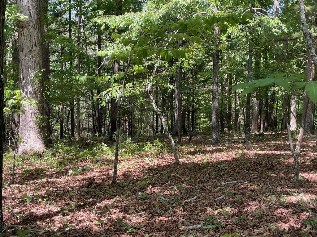 single family residence for sale at TR 1A Chalcrest Way, Cave Spring, GA 30124 — photo 7
