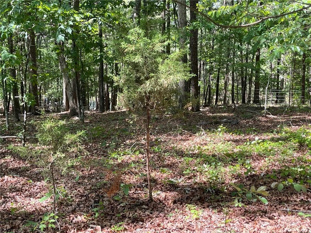 single family residence for sale at TR 1A Chalcrest Way, Cave Spring, GA 30124 — photo 8