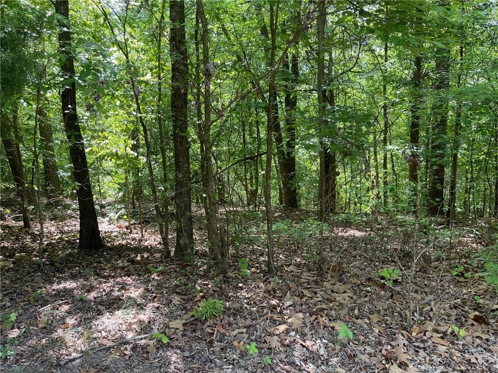 single family residence for sale at TR 1A Chalcrest Way, Cave Spring, GA 30124 — photo 10