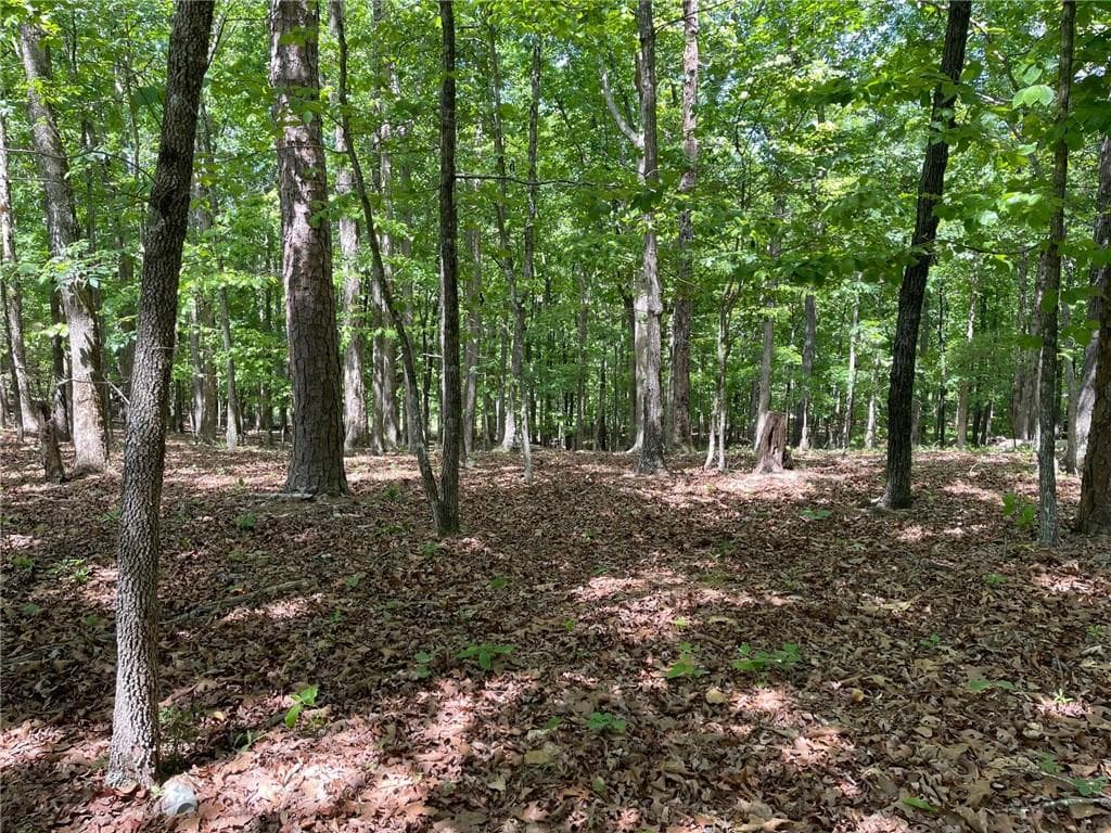 single family residence for sale at TR 1A Chalcrest Way, Cave Spring, GA 30124
