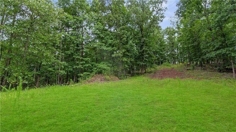 unimproved land for sale at 1845 Tibbitts Road, Dallas, GA 30132 — photo 2