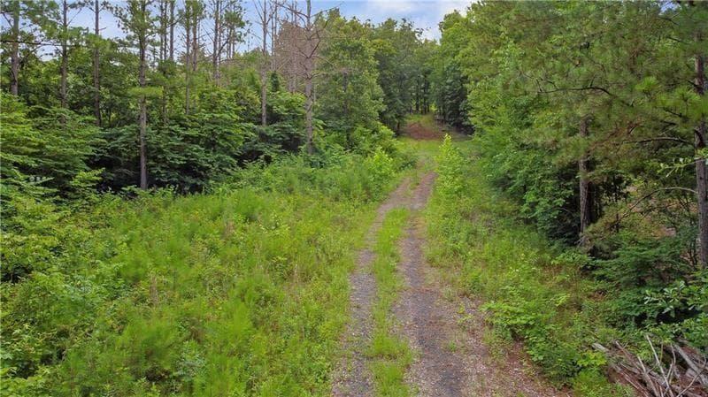 unimproved land for sale at 1845 Tibbitts Road, Dallas, GA 30132 — photo 5
