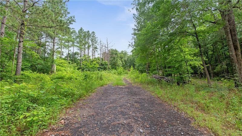 unimproved land for sale at 1845 Tibbitts Road, Dallas, GA 30132 — photo 8