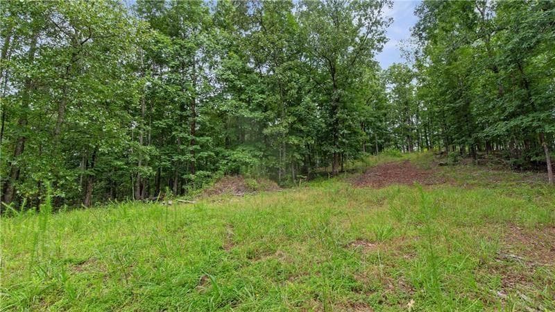 unimproved land for sale at 1845 Tibbitts Road, Dallas, GA 30132 — photo 9