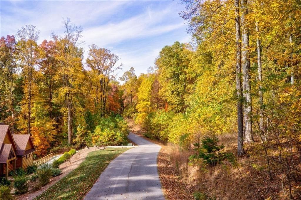 unimproved land for sale at 228 Stone Cliff Trace, Cleveland, GA 30528 — photo 10
