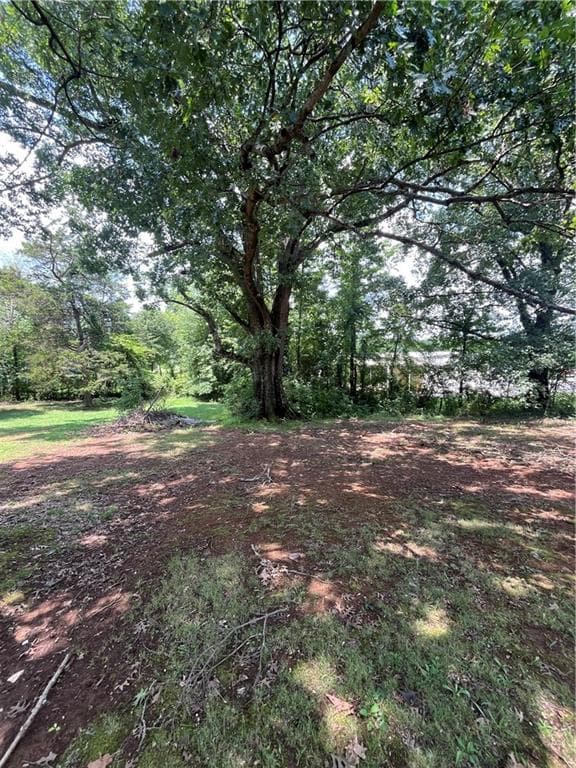 3 bedroom, 2 bathroom, 1,171 sq ft single family residence for sale at 95 Dellinger Road, Rome, GA 30161 — photo 8