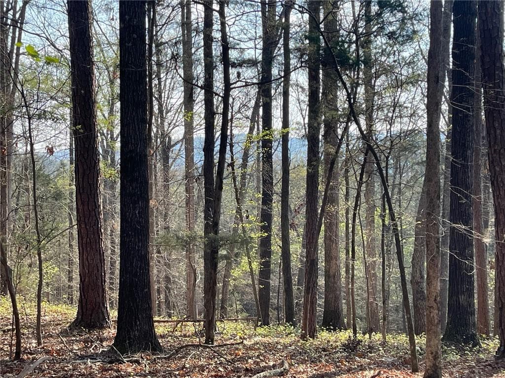 single family residence for sale at TR 1B Chalcrest Way, Cave Spring, GA 30124 — photo 2