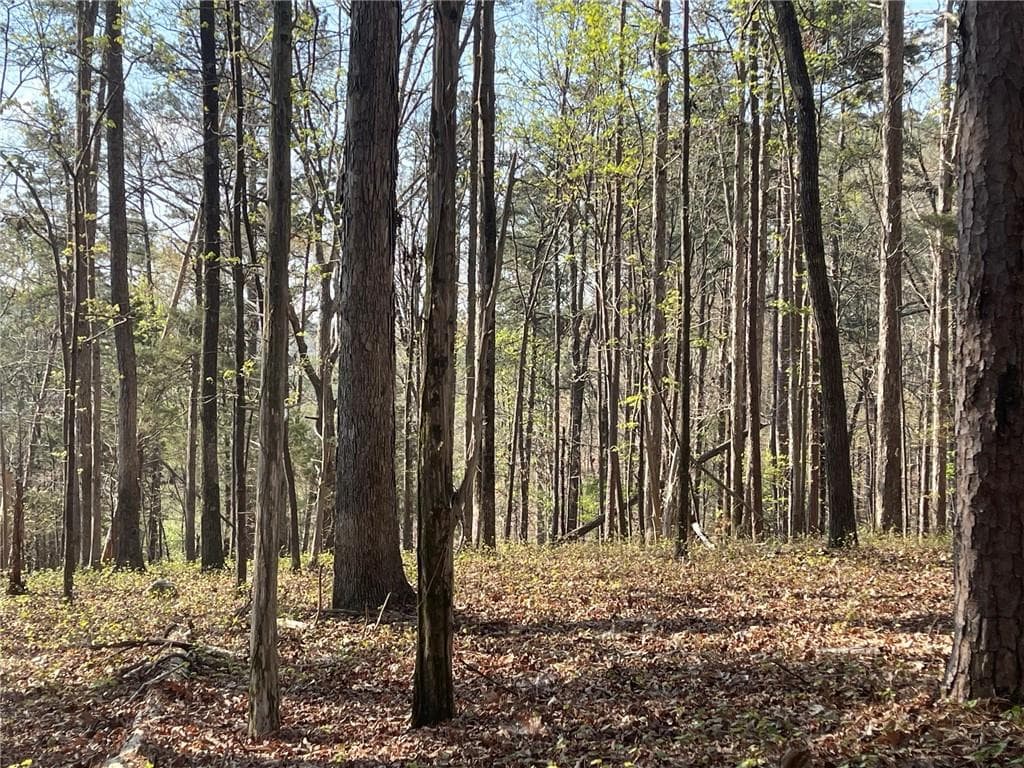 single family residence for sale at TR 1B Chalcrest Way, Cave Spring, GA 30124 — photo 4