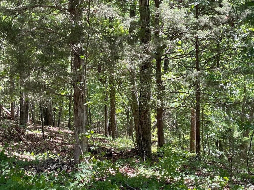 single family residence for sale at TR 1B Chalcrest Way, Cave Spring, GA 30124 — photo 10