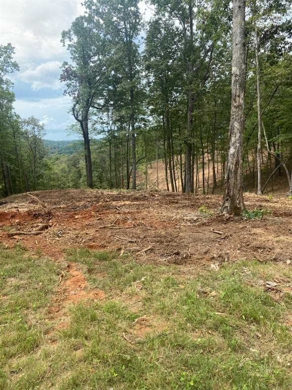 single family residence for sale at LOT 56 Ridge Line Trail, Ellijay, GA 30540 — photo 2