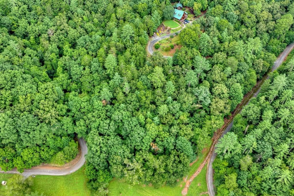 unimproved land for sale at LOT 5B Toccoa River Forest, Mineral Bluff, GA 30559 — photo 3