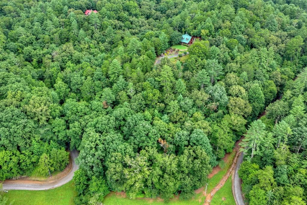 unimproved land for sale at LOT 5B Toccoa River Forest, Mineral Bluff, GA 30559 — photo 4