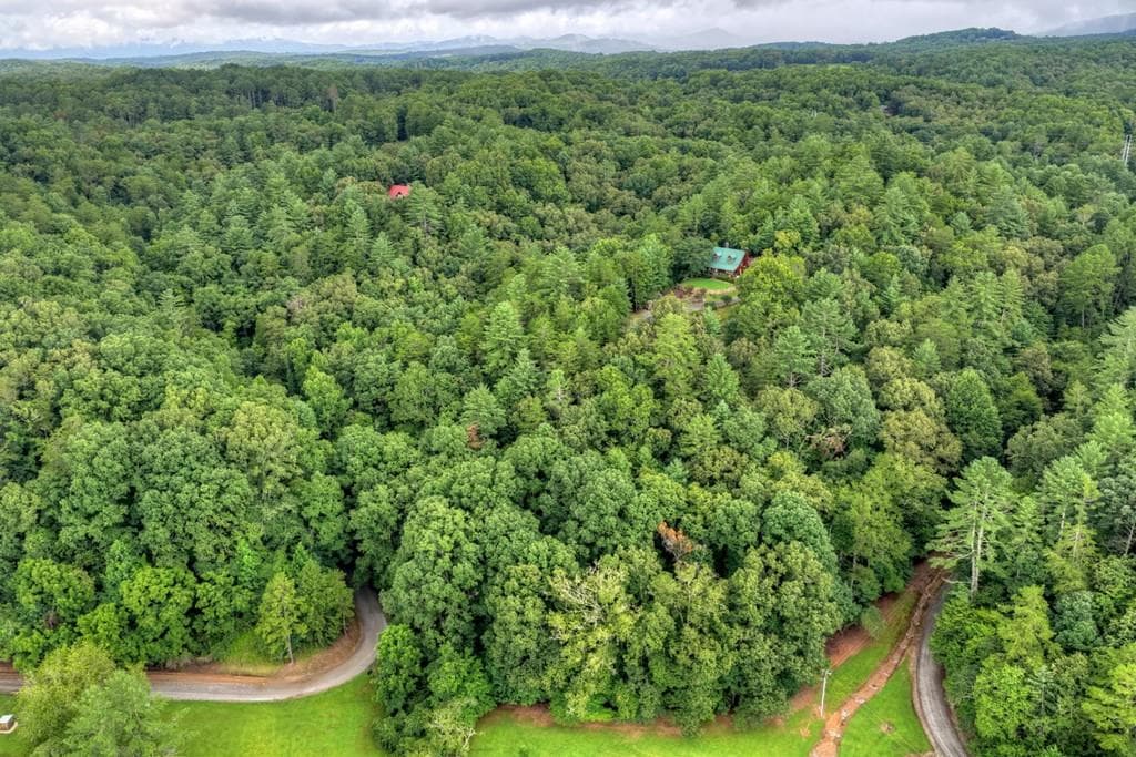 unimproved land for sale at LOT 5B Toccoa River Forest, Mineral Bluff, GA 30559 — photo 5