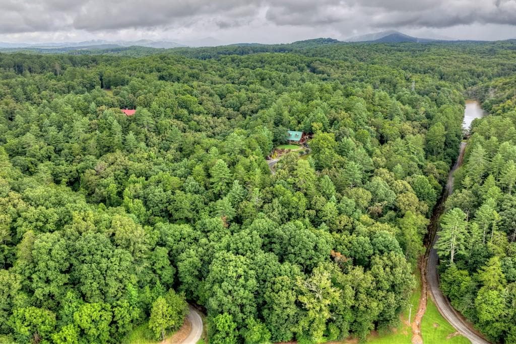 unimproved land for sale at LOT 5B Toccoa River Forest, Mineral Bluff, GA 30559 — photo 6
