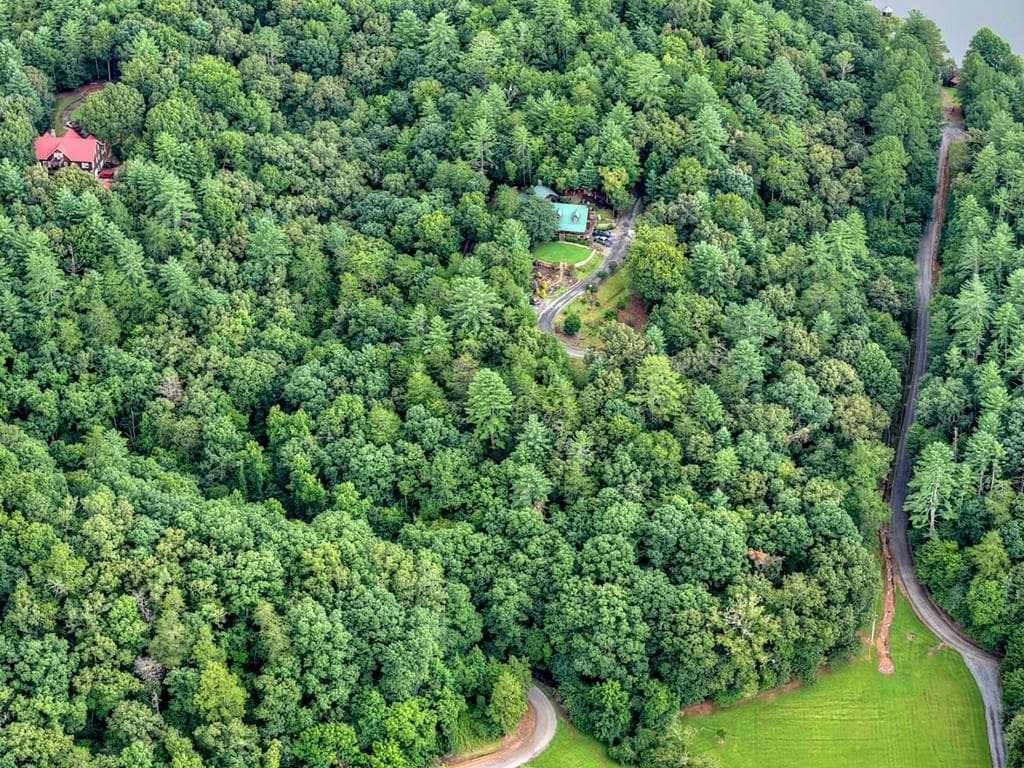 unimproved land for sale at LOT 5B Toccoa River Forest, Mineral Bluff, GA 30559 — photo 7