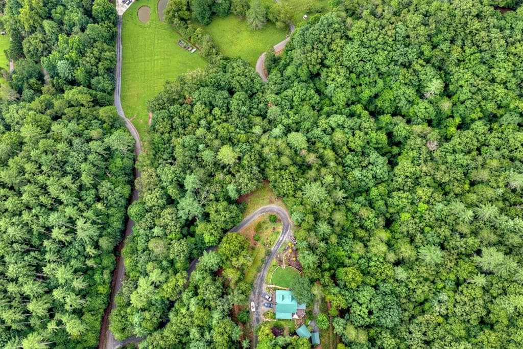 unimproved land for sale at LOT 5B Toccoa River Forest, Mineral Bluff, GA 30559 — photo 10