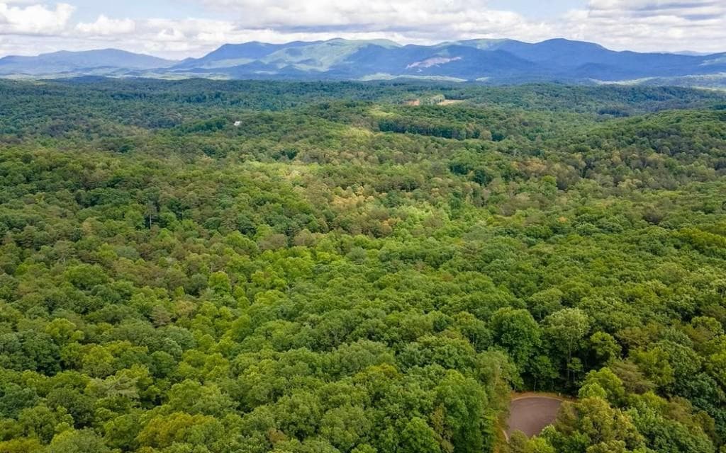 single family residence for sale at 0 Abbott Mill Road, Ellijay, GA 30540 — photo 2