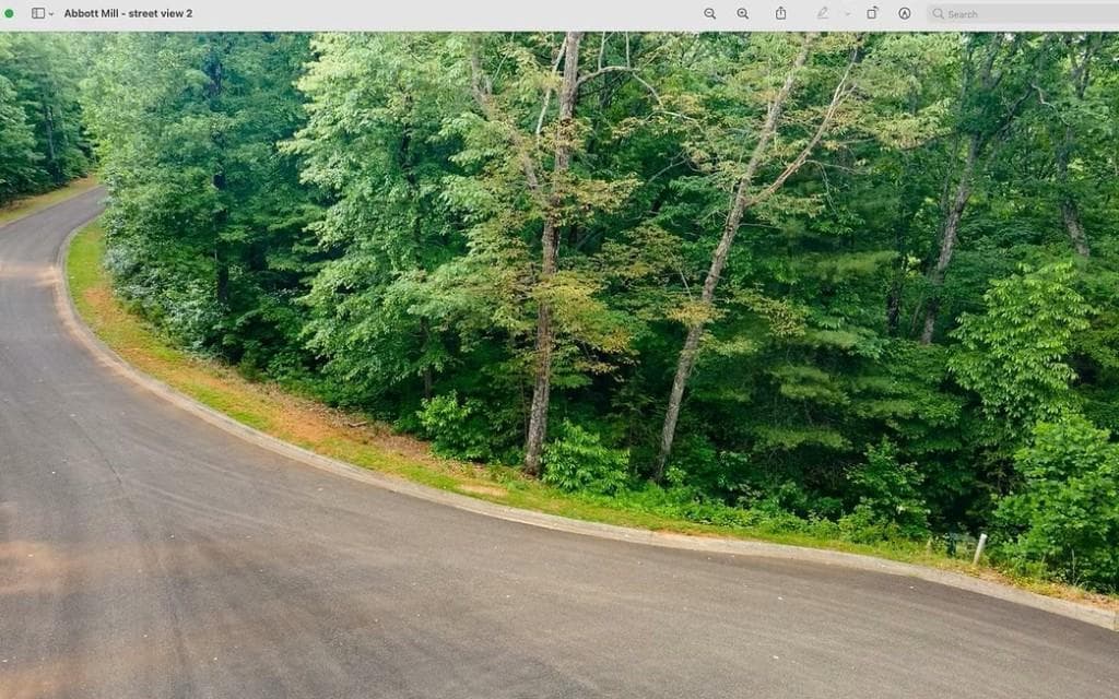 single family residence for sale at 0 Abbott Mill Road, Ellijay, GA 30540 — photo 3